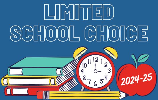 school choice graphic 