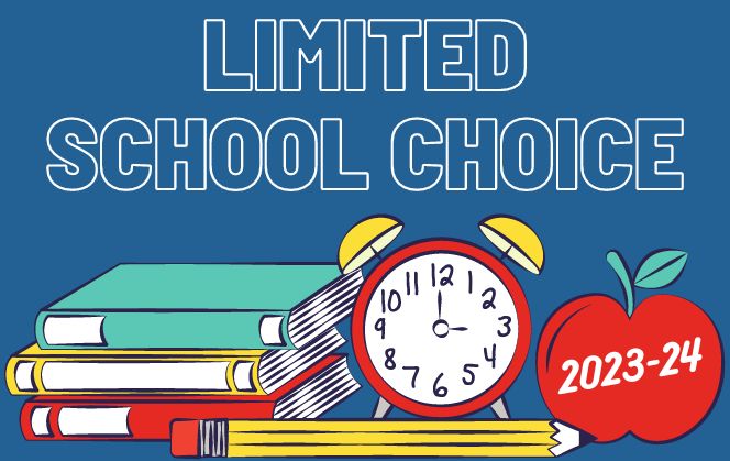  school choice graphic
