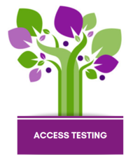  Access Testing