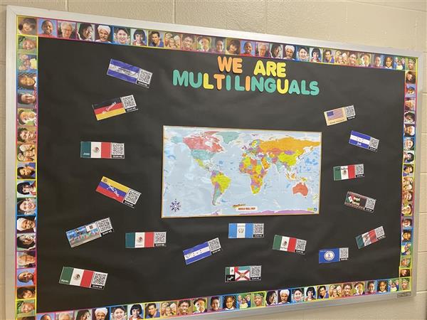 Multilingual learners display